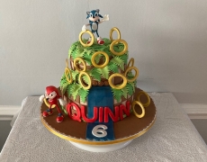 Quinn 6 - Sonic & Knuckles.jpg
