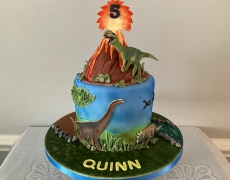 Quinn dinosaur 1.jpg