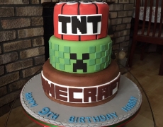 TNT Minecraft - front view.jpg